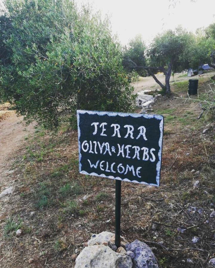 Vátos Terraoliva&Herbs מראה חיצוני תמונה