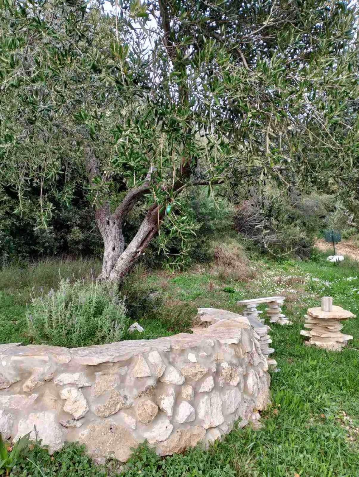 Vátos Terraoliva&Herbs מראה חיצוני תמונה