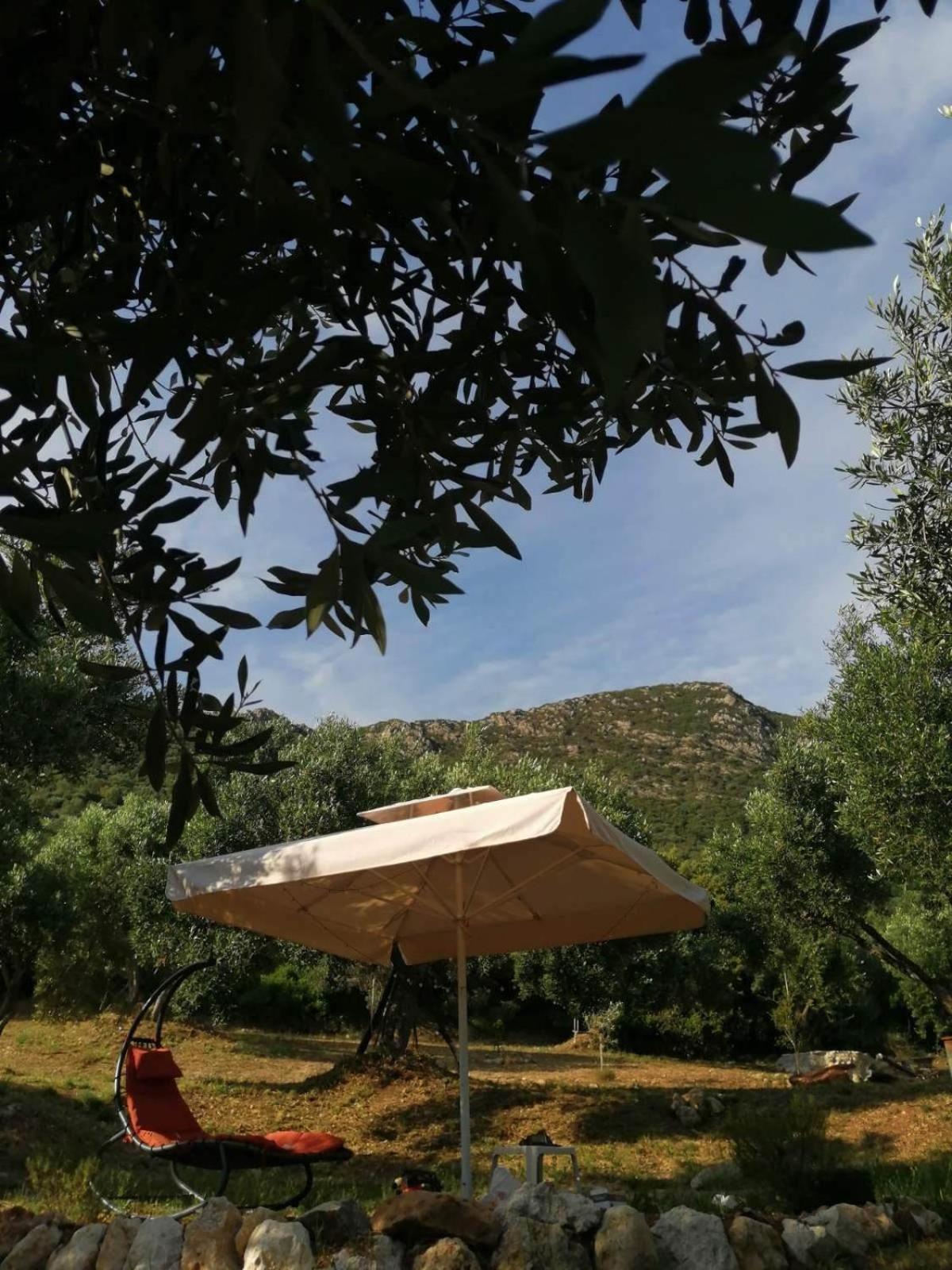 Vátos Terraoliva&Herbs מראה חיצוני תמונה