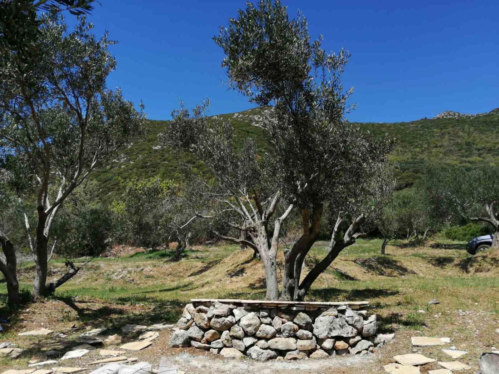 Vátos Terraoliva&Herbs מראה חיצוני תמונה