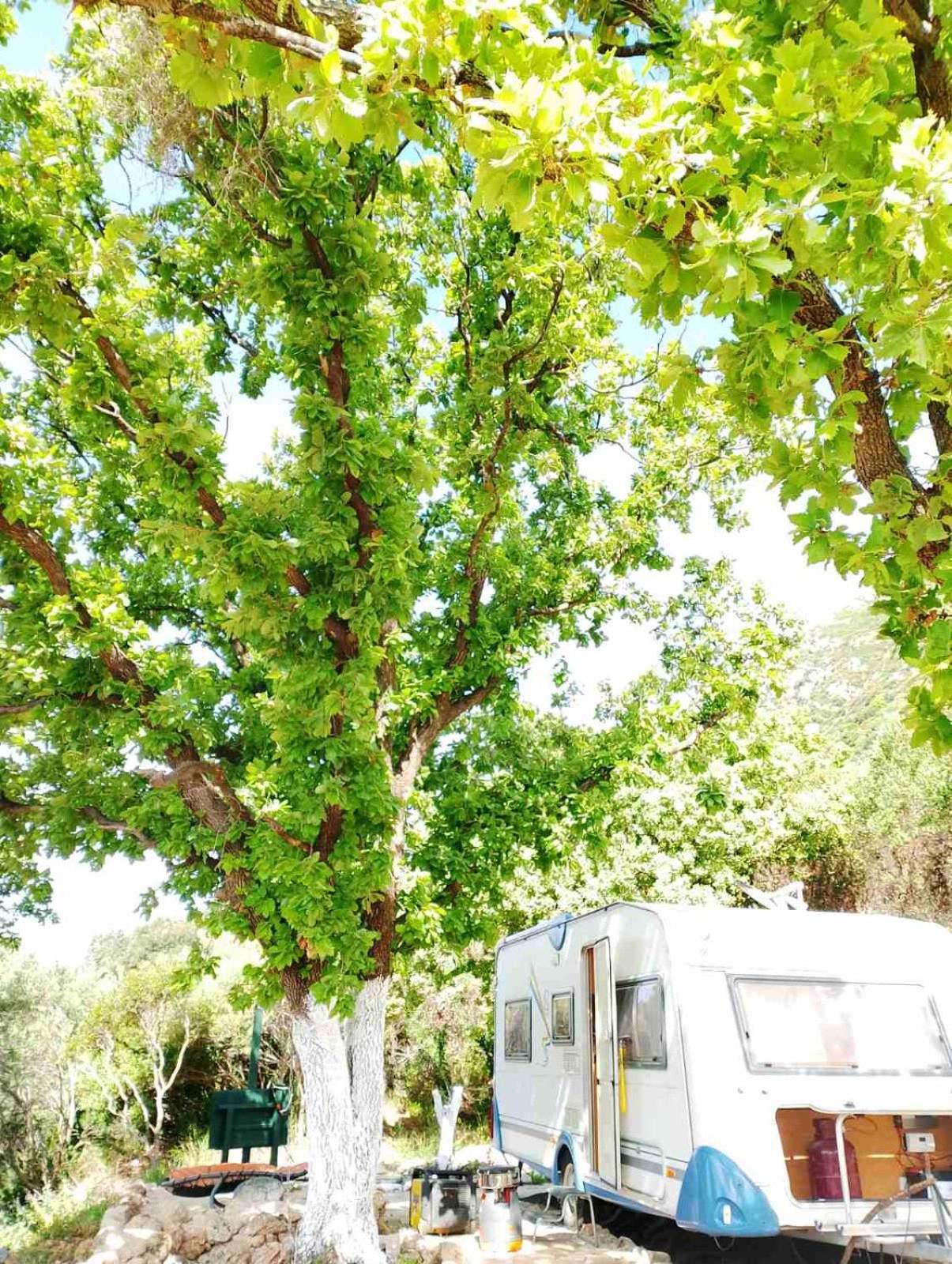 Vátos Terraoliva&Herbs מראה חיצוני תמונה